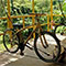 bamboobike-60×60