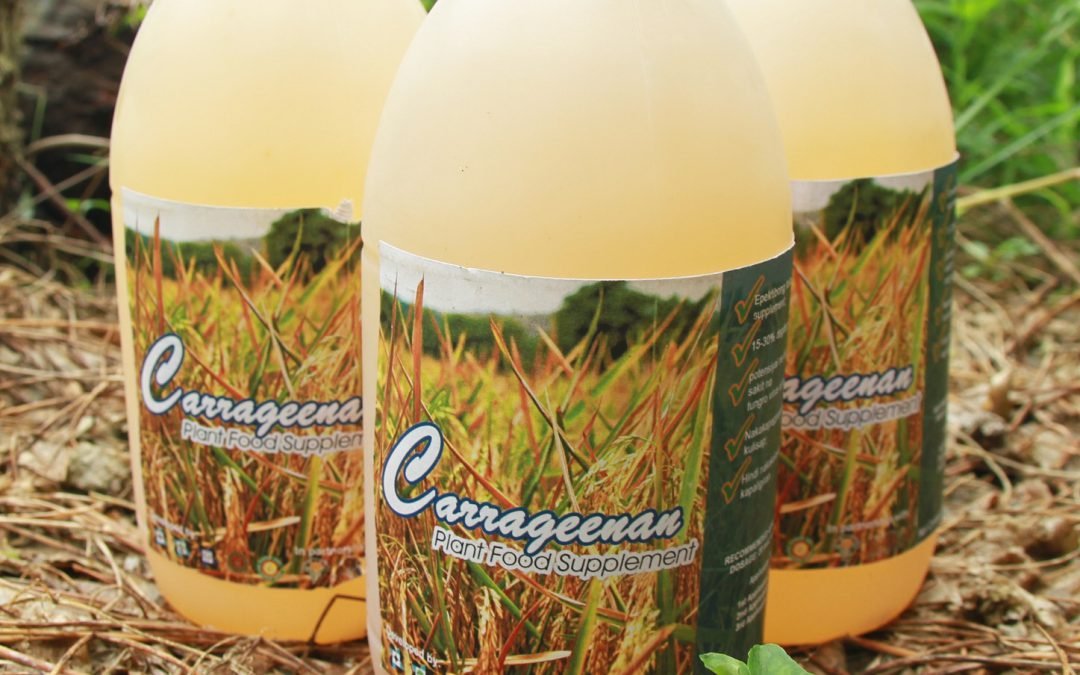 Filipino food supplement using nuclear technology wins international recognition