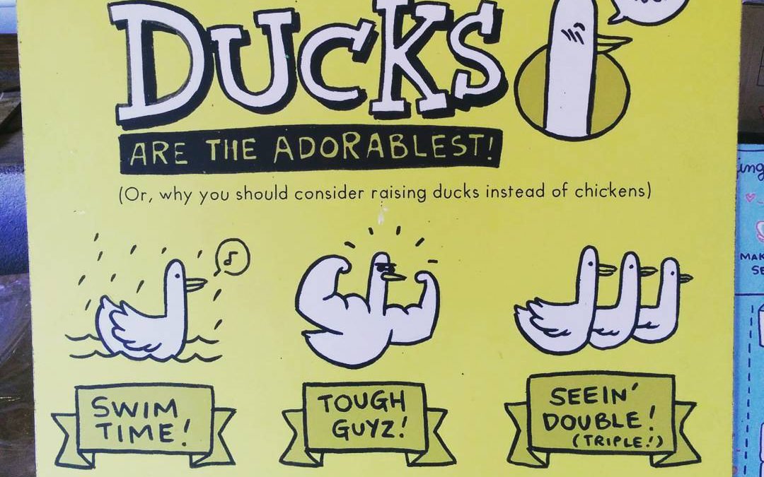 Golden Duck lays golden opportunities for the less fortunate