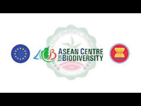 La Salle Dasma student triumphs at EU-ASEAN Biodiversity Youth Video tilt
