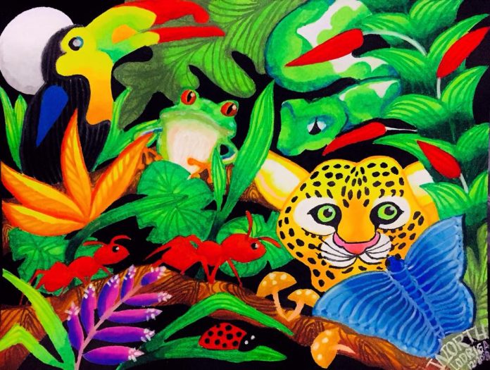 Worth Lodriga In Top 10 Of Frogs Are Green International Art Contest In 