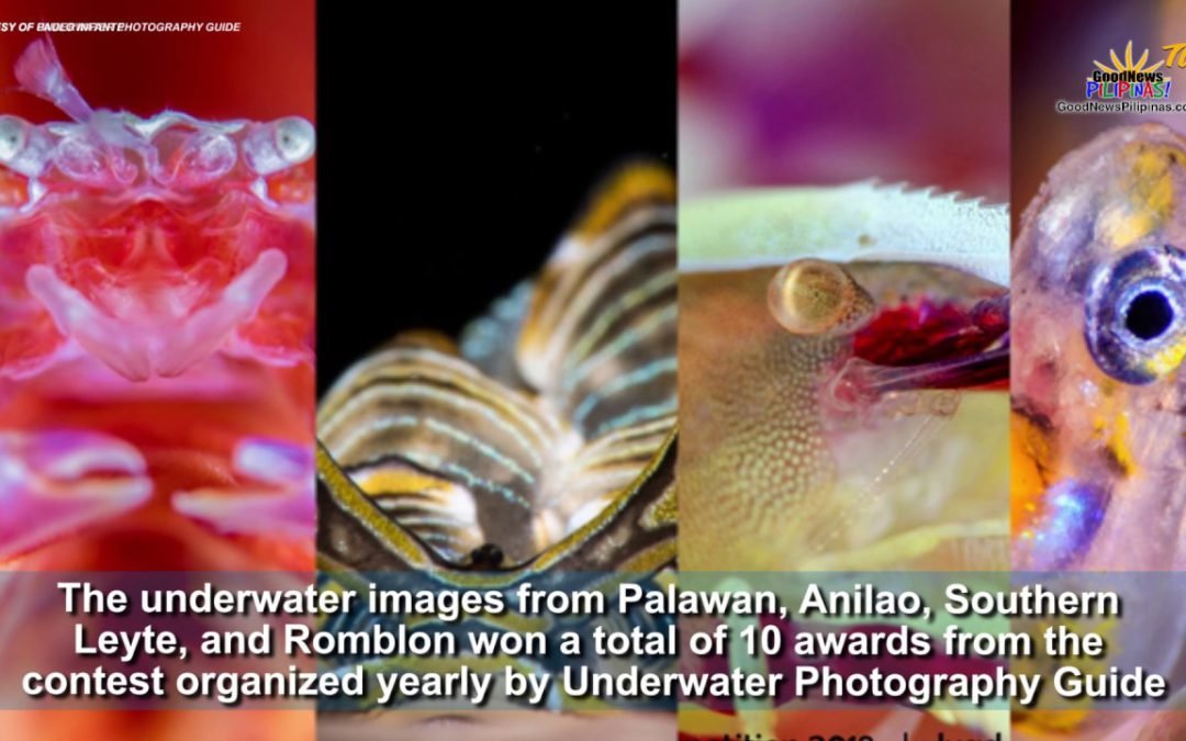 Good News Pilipinas! TV Express: 10 Ocean Art Winning Photos Shot in Palawan, Anilao, Leyte, Romblon