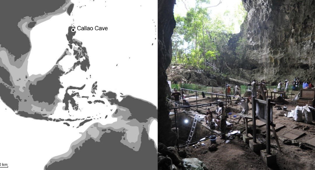 University of the Philippines-led international archaeology team discovers new human species Homo luzonensis in Callao Cave