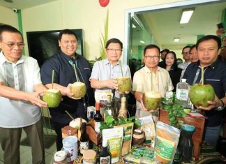 Philippines' young coconuts