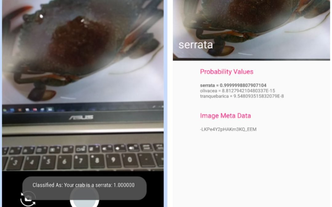 De La Salle University develops mobile app to help crab fishers