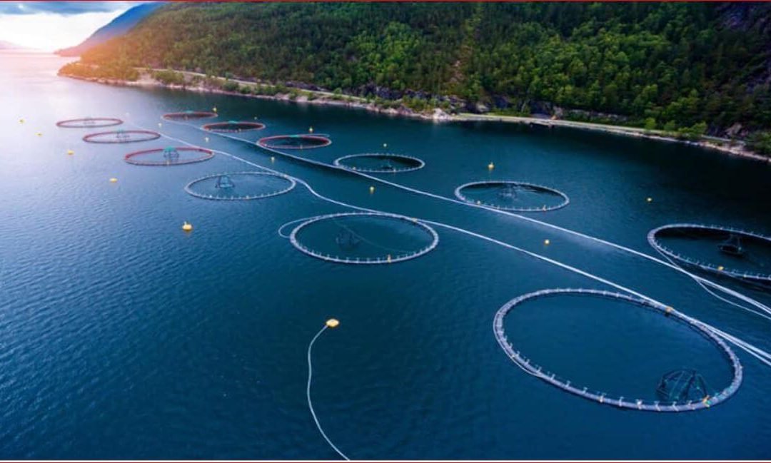 State-of-the-art floating solar farm to help Tawi-Tawi fishing community