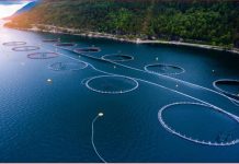 Floating Solar farm