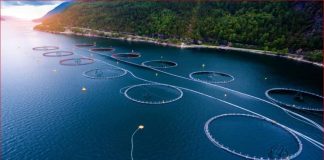 Floating Solar farm