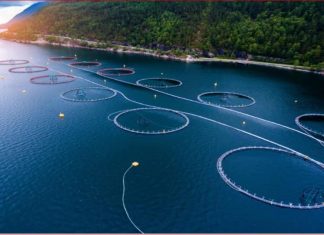 Floating Solar farm