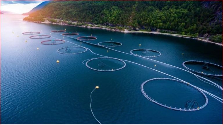 Floating Solar farm