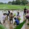 Martha Stewart planting rice