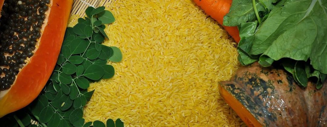 Golden Rice with Vitamin A gets PHL landmark safety approval