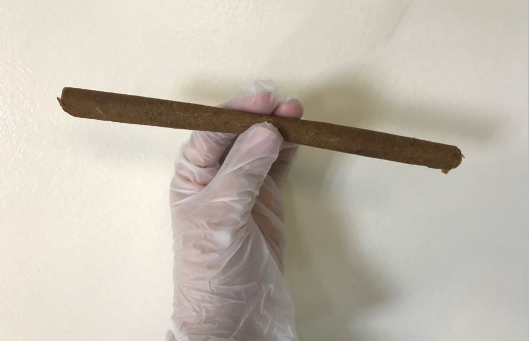 DLSU-D Senior High students develop alternative to plastic straw using Saba fruit peelings