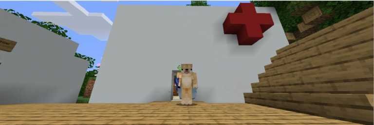 Minecraft Hospital