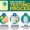 COVID 19 Testing Infographic