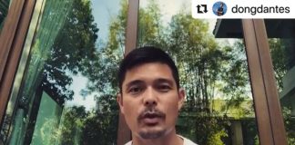 Dingdong Dantes Work From Home