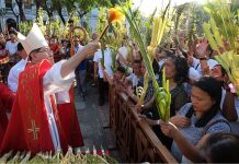 Palm Sunday Cardinal Tagle