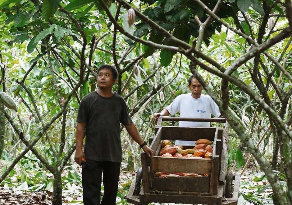 Davao’s Auro Chocolate makes historic first Philippine export to European markets