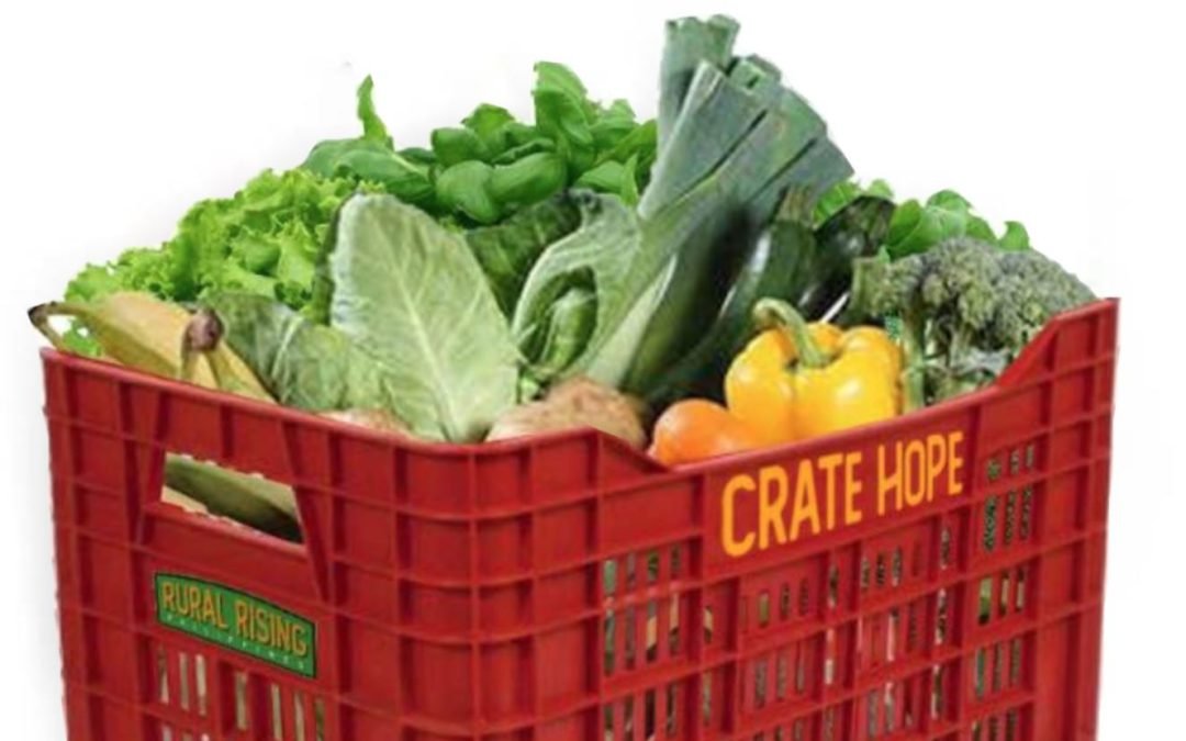 Rural Rising PH’s Crate Hope feeds displaced jeepney drivers