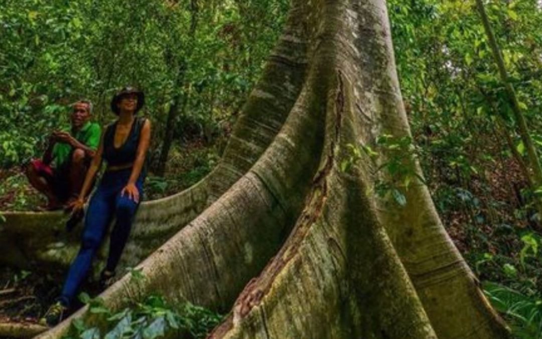 Philippines’ Nella Lomotan nominated Global Landscape Hero