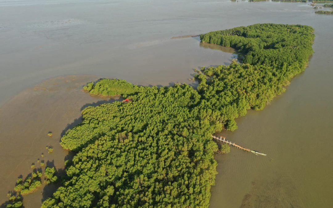 Pampanga’s Sasmuan wetland is new Ramsar site of international importance