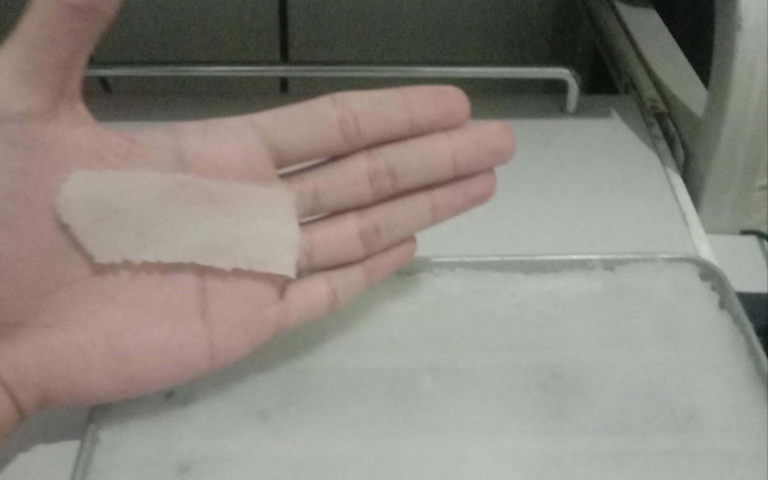 DLSU Dasma senior high school students develop rice water alternative to single-use plastic