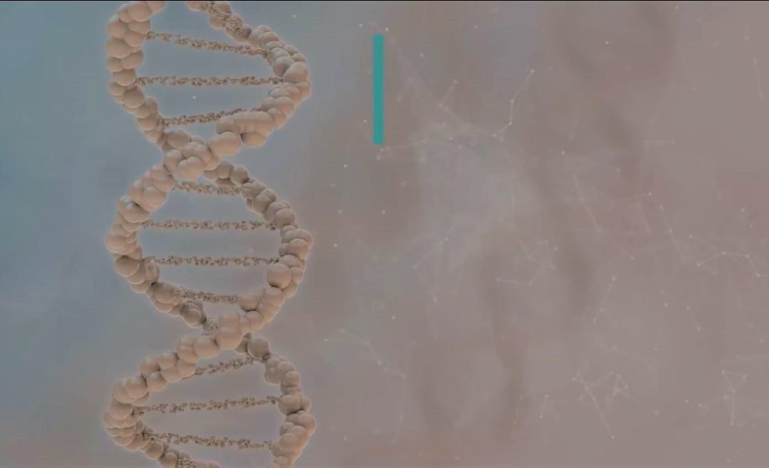 Ateneo, DLSU, San Carlos College conduct health researches with DOST