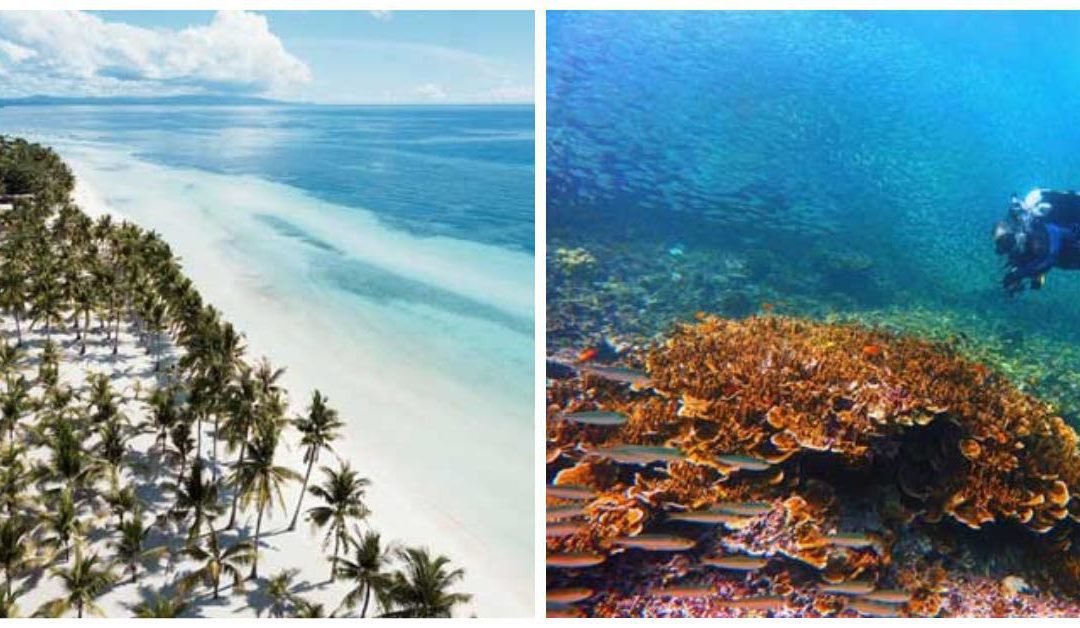Philippines is again Asia’s Best Beach, Dive Destination in World Travel Awards