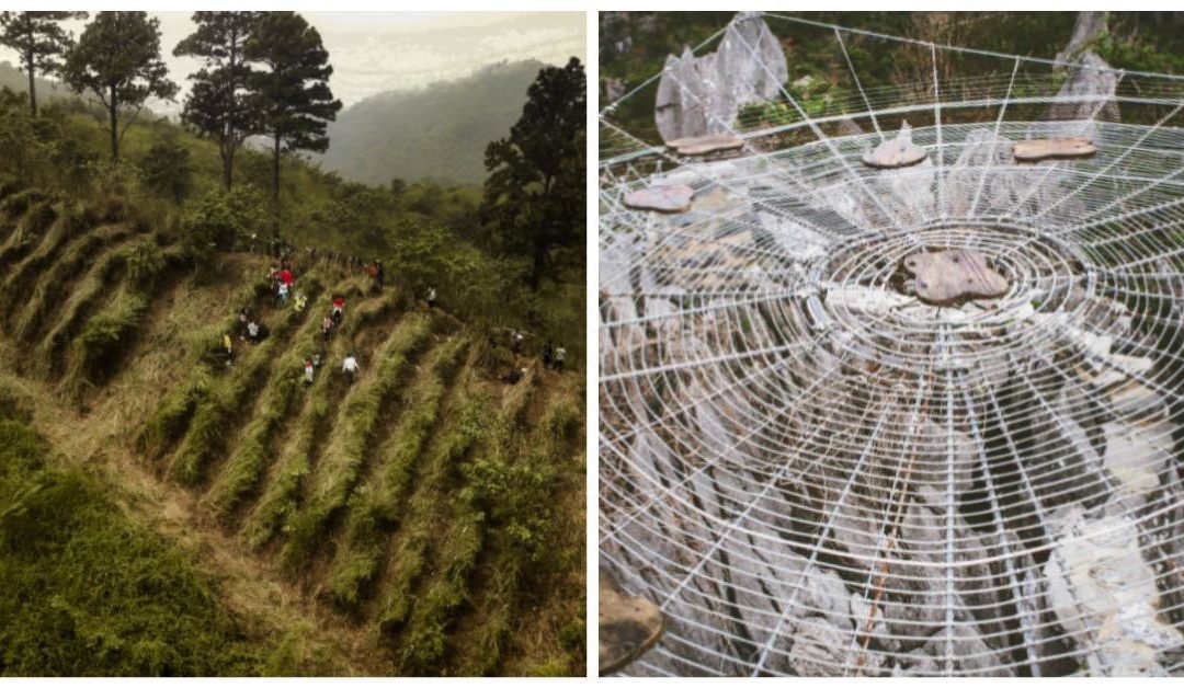 Philippines’ Masungi geopark reopens to visitors