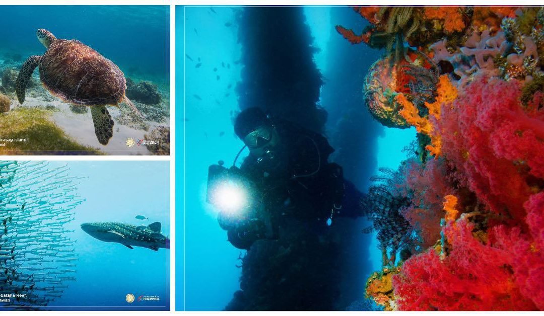 Philippines claims 3-peat win as World’s Leading Dive Destination