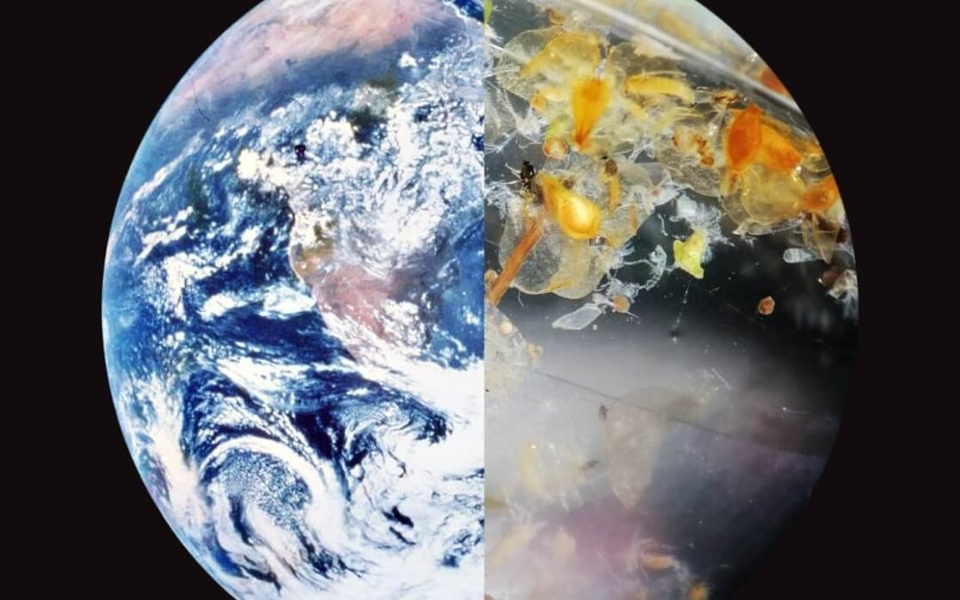 World Environment Day Sparks Global Call for a Binding Plastics Treaty