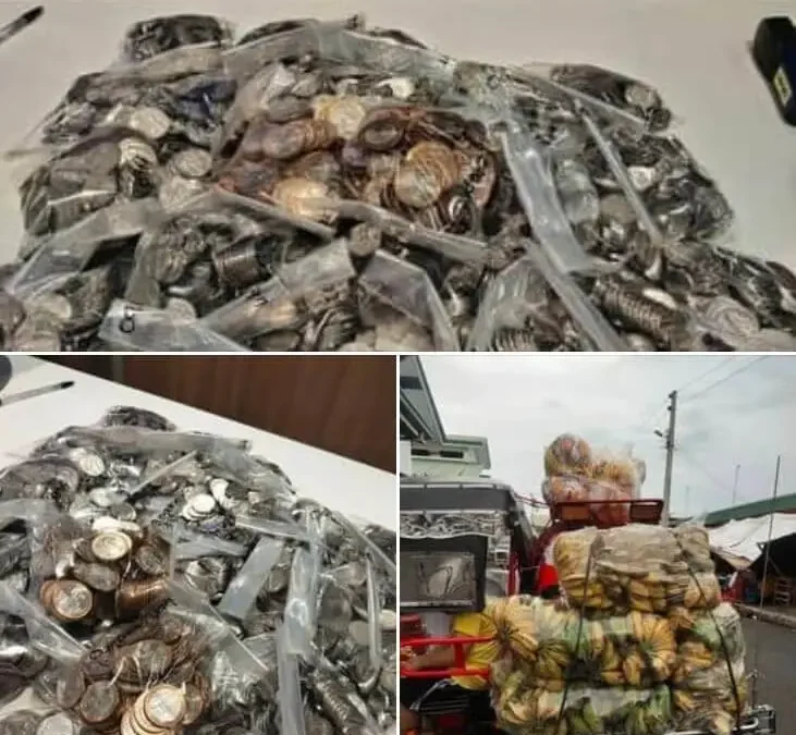 Hard Work Pays Off: Married Couple’s Efforts Yield 59K in Savings | Iponaryo