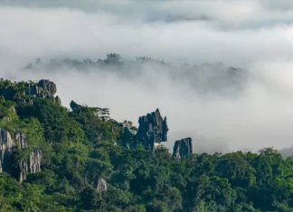 Masungi Geopark Project