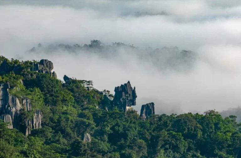 Masungi Geopark Project