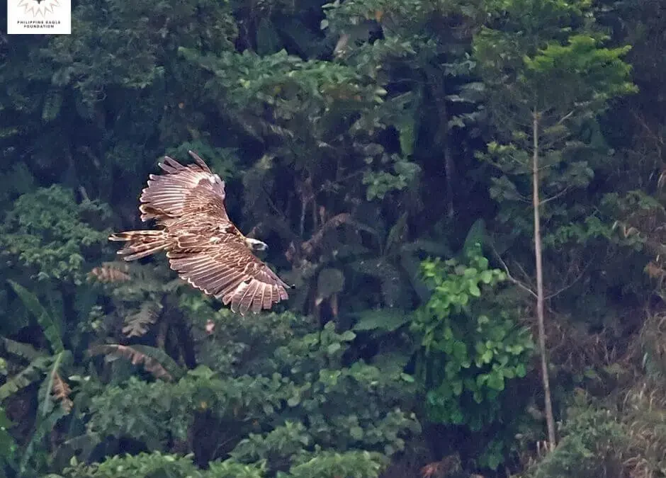 Apayao and Isnag Heritage Honored as New UNESCO Biosphere Reserve