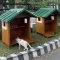 Cat outdoor house