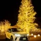 Lexus x Christmas Tree