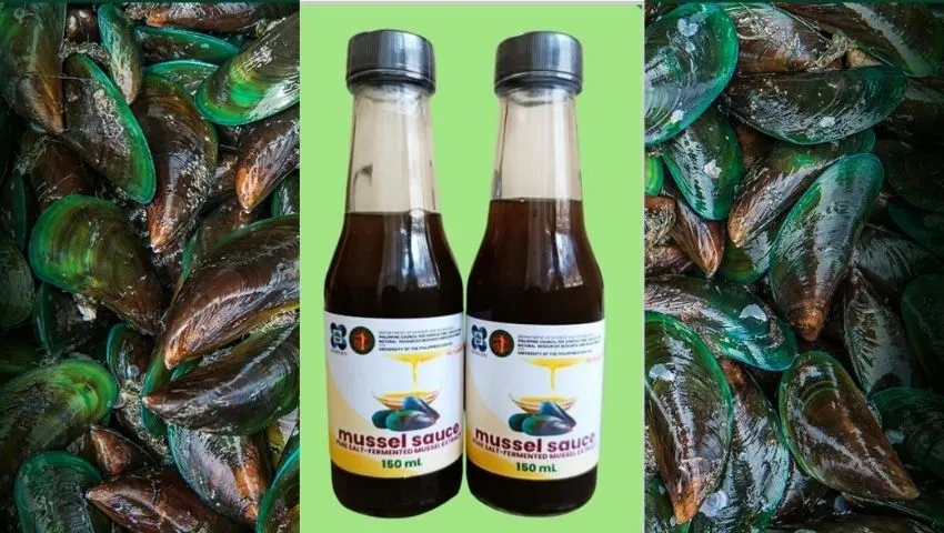 UP Visayas Develops Healthy Low-Salt Fish Sauce from Filipino-Grown Green Mussels