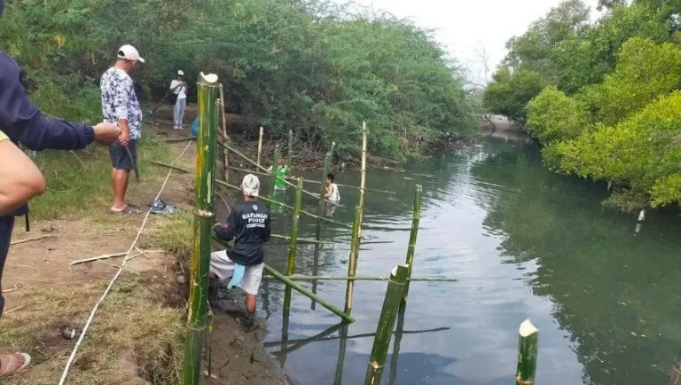 Bamboo riverbank stabilization activity in Barangay Carretunan, Calatagan Batangas with barangay personnel and community members working along the river
